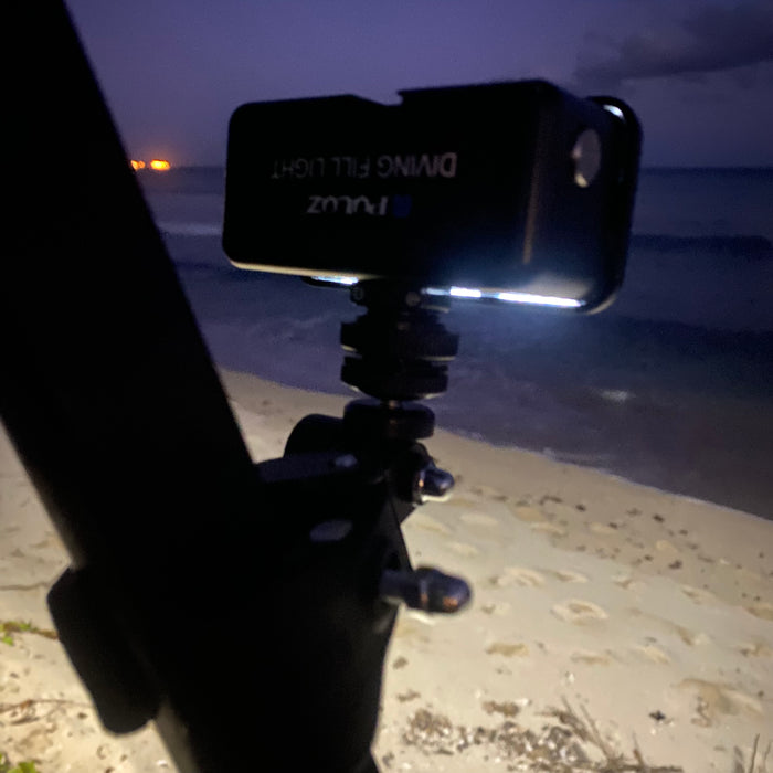 Rechargeable 750 Lumens Fish/Camp/Work/Dive Light with Adjustable Clamp