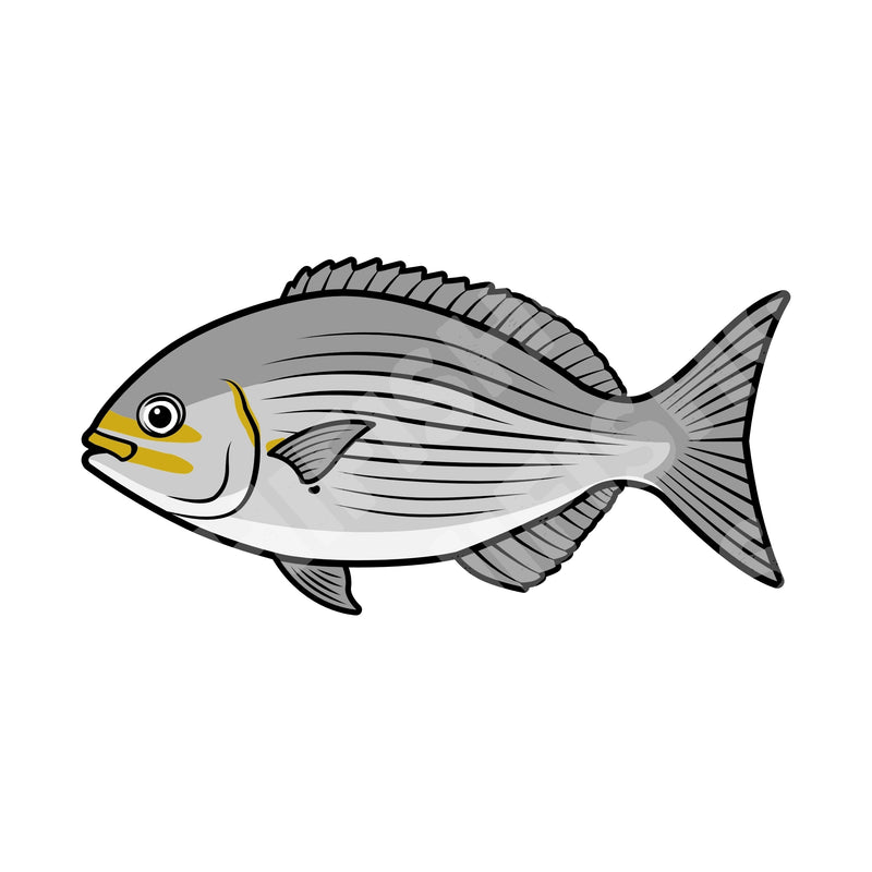 Hawaii Fishing Gear Stickers