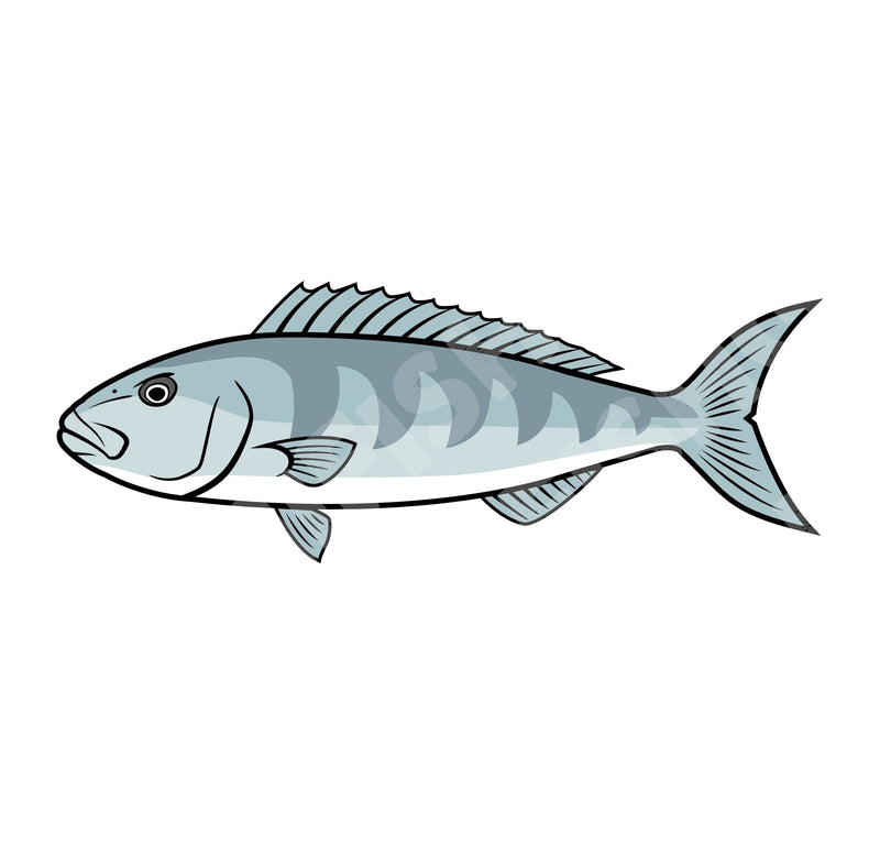 Hawaii Fishing Gear Stickers