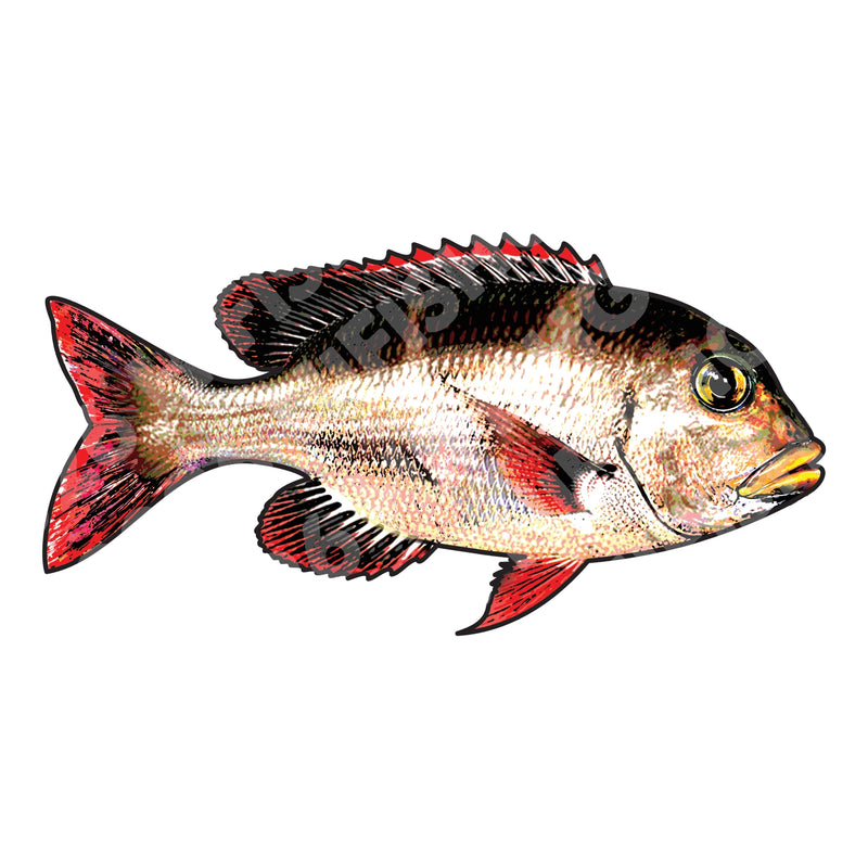 Hawaii Fishing Gear Stickers