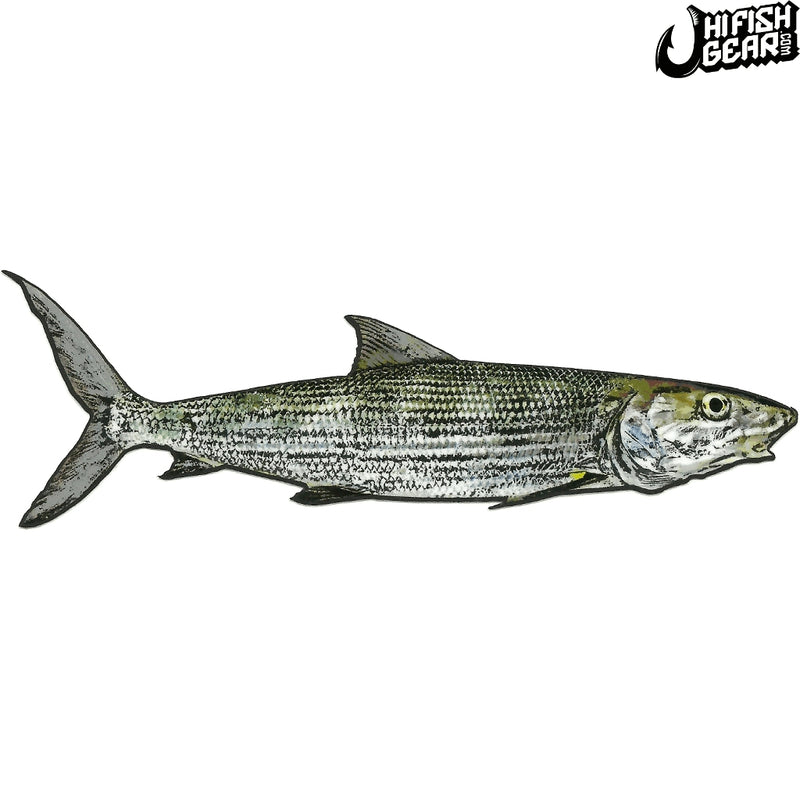 Hawaii Fishing Gear Stickers