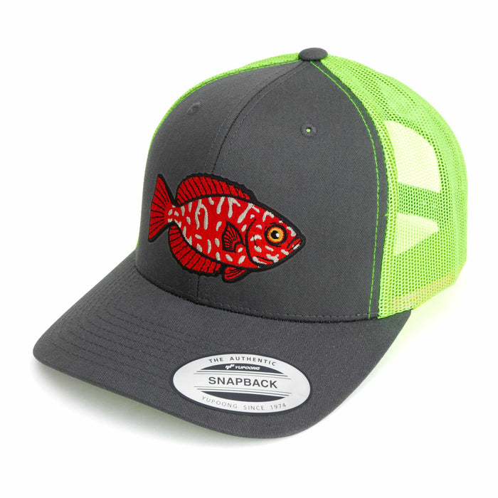 ʻĀweoweo (Hawaiian Big Eye) Hat (43 Styles)