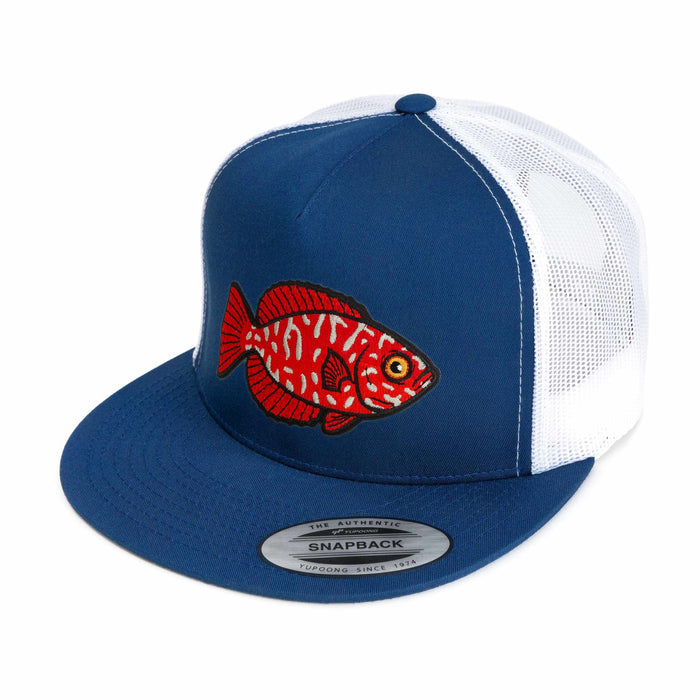 ʻĀweoweo (Hawaiian Big Eye) Hat (43 Styles)