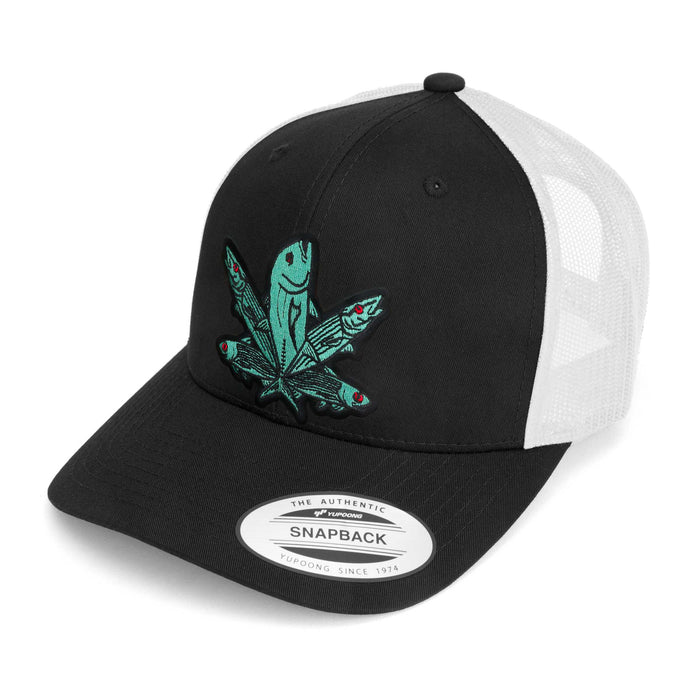 Green Fish Hat (38 Styles)