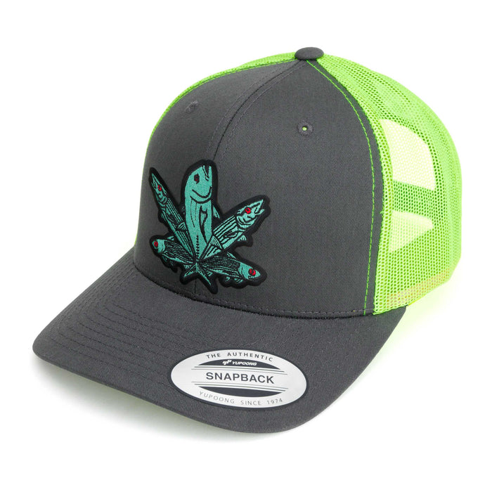 Green Fish Hat (38 Styles)