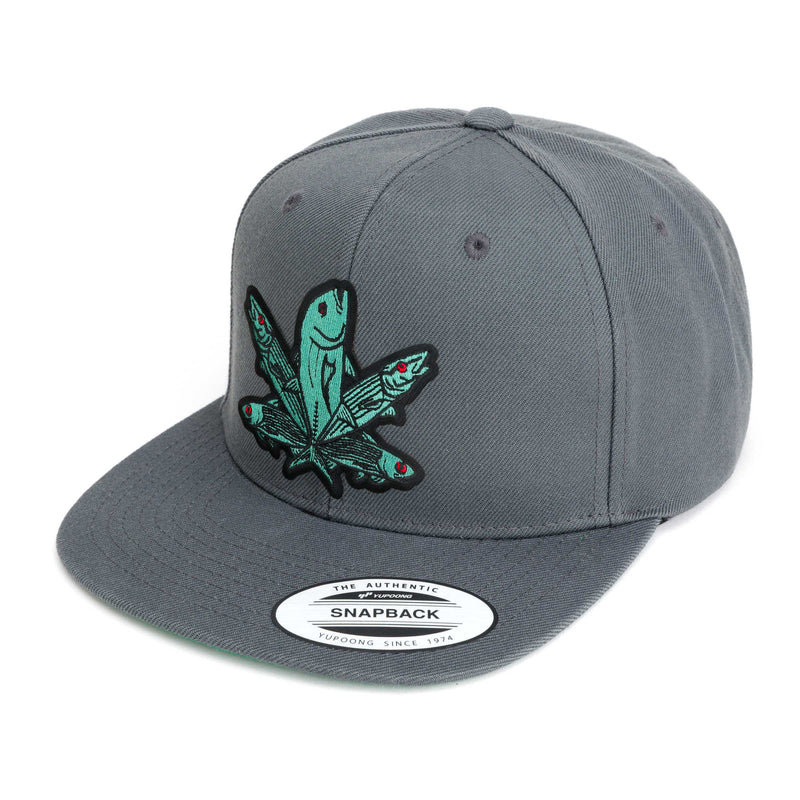 Green Fish Hat (38 Styles)