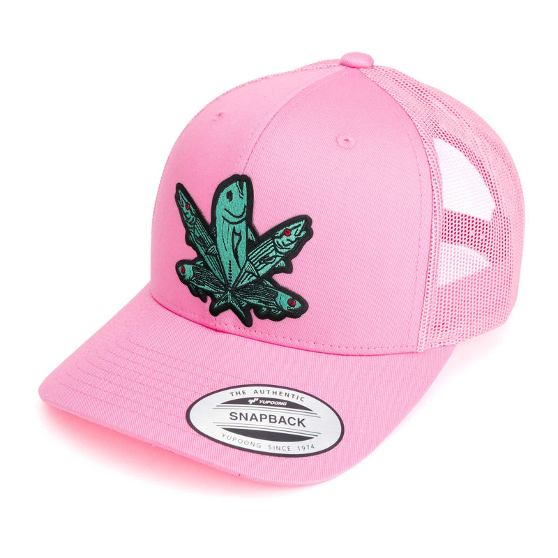 Green Fish Hat (38 Styles)