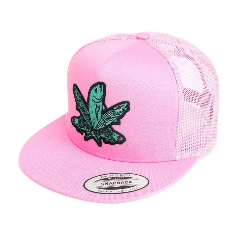 Green Fish Hat (38 Styles)