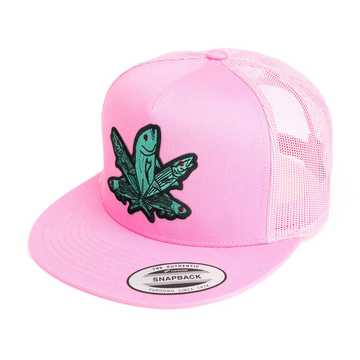 Green Fish Hat (38 Styles)