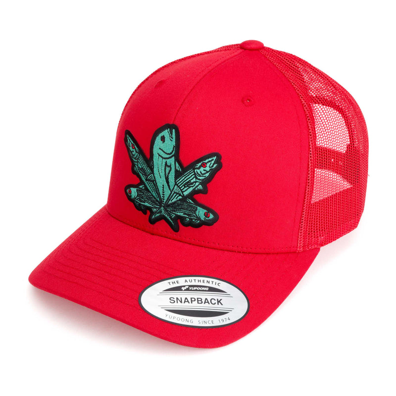 Green Fish Hat (38 Styles)