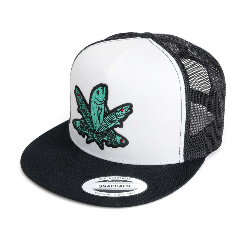 Green Fish Hat (38 Styles)