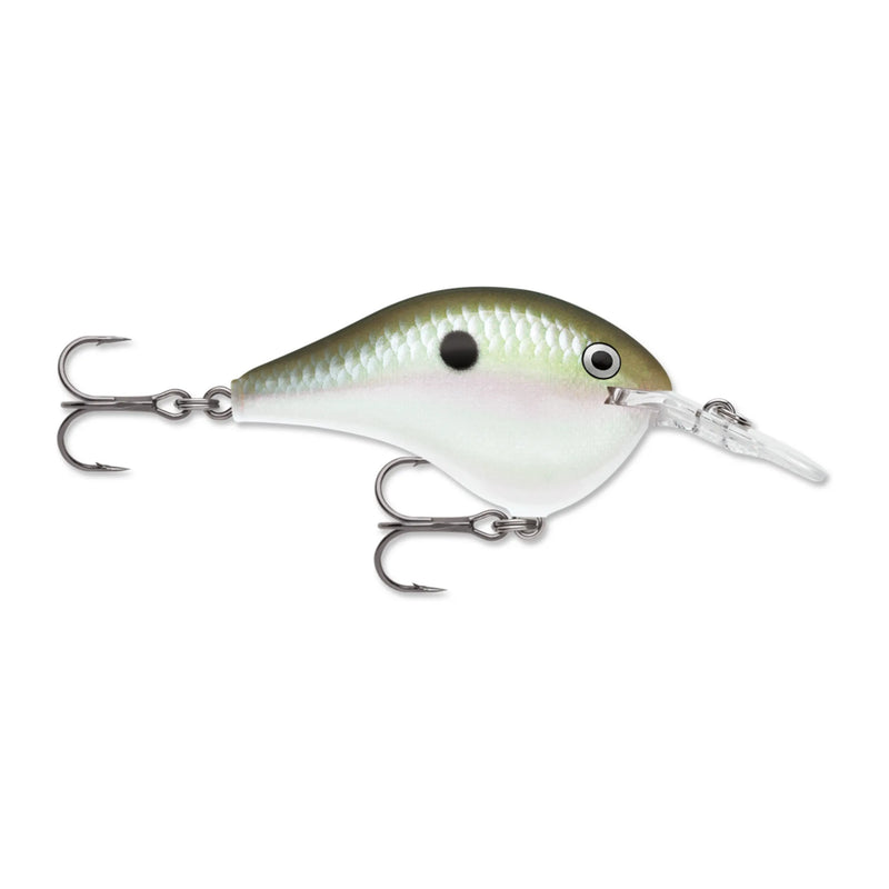 Rapala DT Dives-To Crankbait