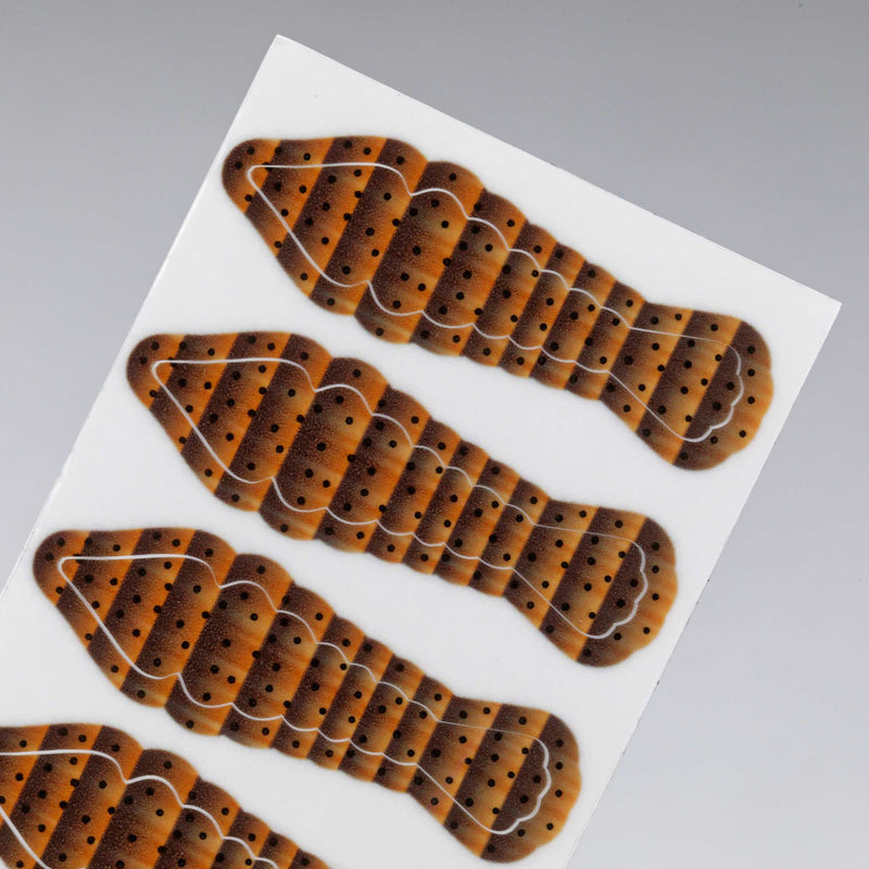 Semperfli SemperSkin Shrimp