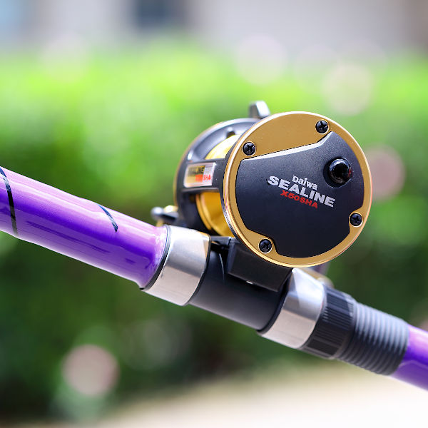 Daiwa SealineX HSV50 casting reel review, fishing for stripers