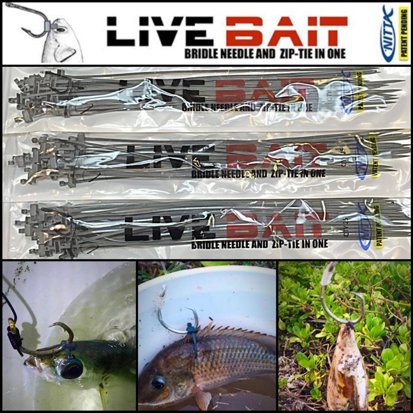 Tackle & Bait Rigs