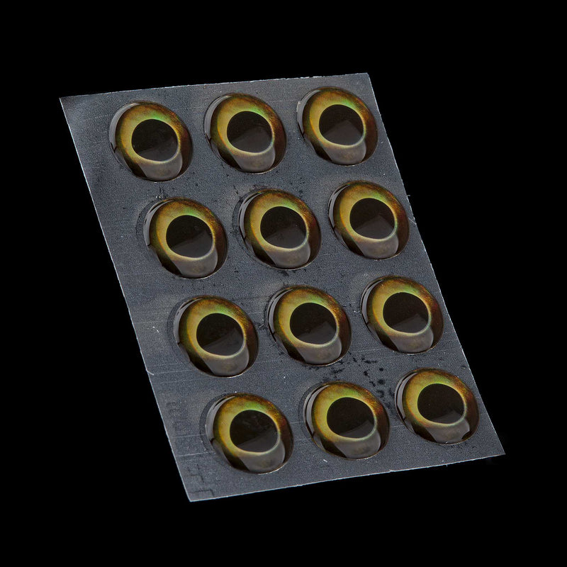 Fish Skull Living Eyes