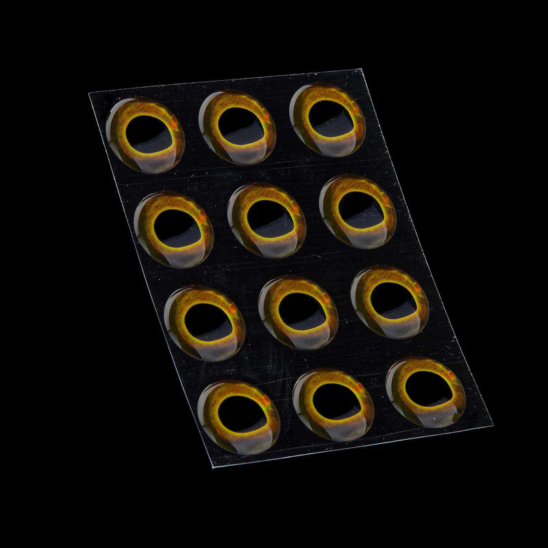 Fish Skull Living Eyes