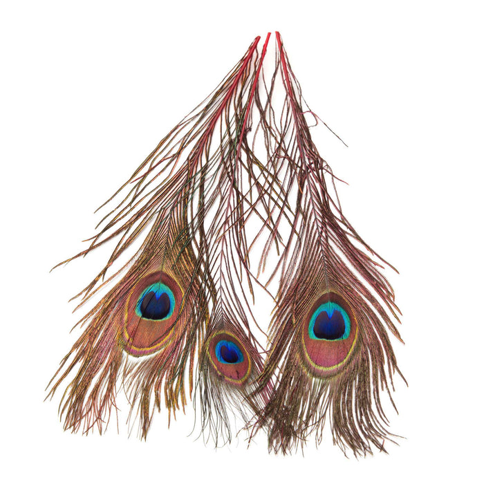 Hareline Peacock Eyed Sticks