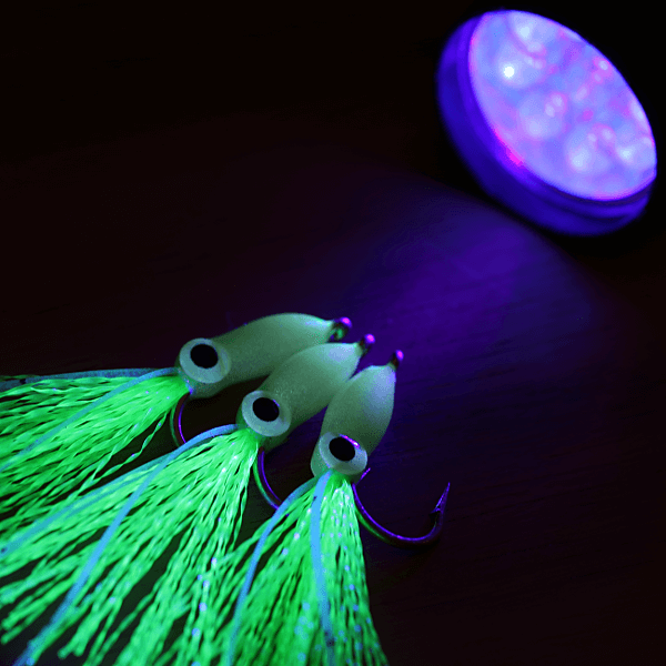 Kahakai Flies Glow Squids